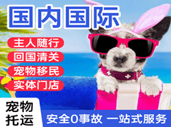 临汾机场快递国际宠物托运 【国